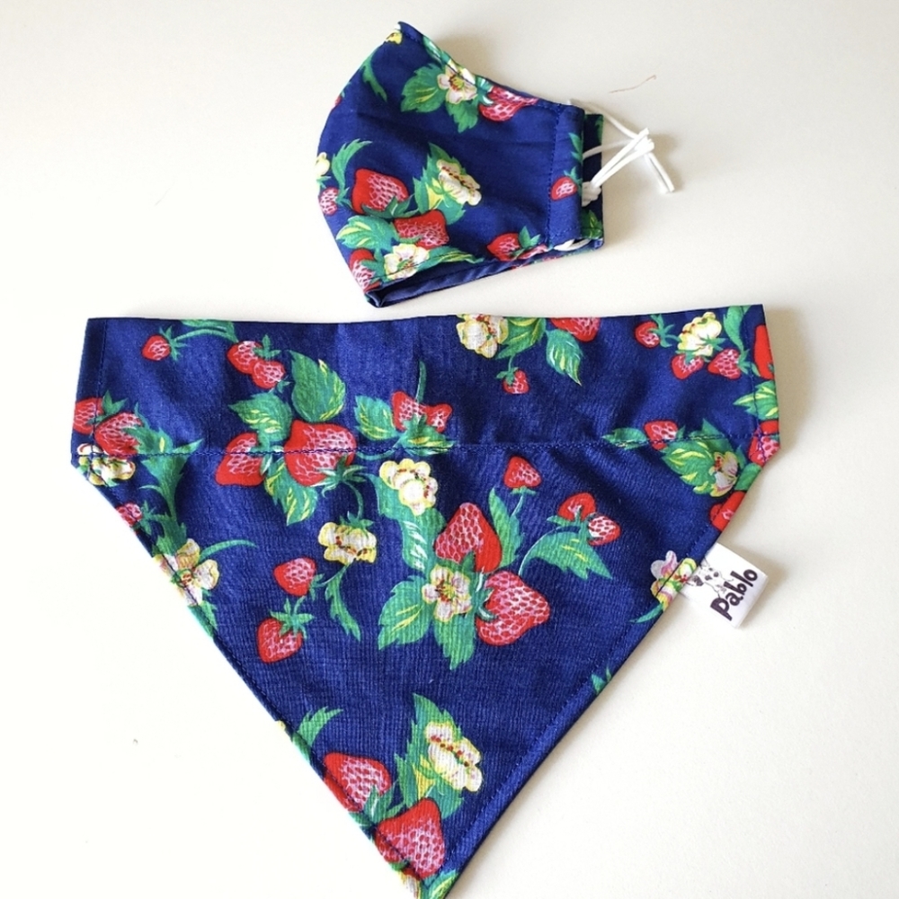 🐶 5 for $15 * Pablo Strawberry Over The Collar Dog Bandana / Face Mask